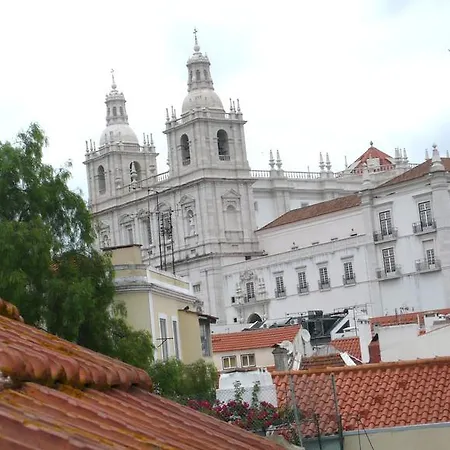 Oliveirinha-3
